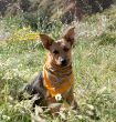 Alicia_2844892_n.jpg
