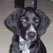 bonnie_4128179_n.jpg