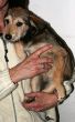 charlotta_1211303_n.jpg