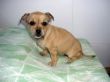 cherie2722242_n.jpg