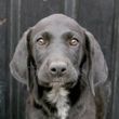 clyde_5610174_n.jpg