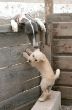 Mandy_718134_n.jpg