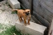 mimi_4676245_n.jpg
