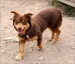 Rufo7006736_n.jpg