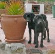 Raul und Anna
