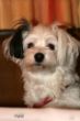 Mama´s Liebling